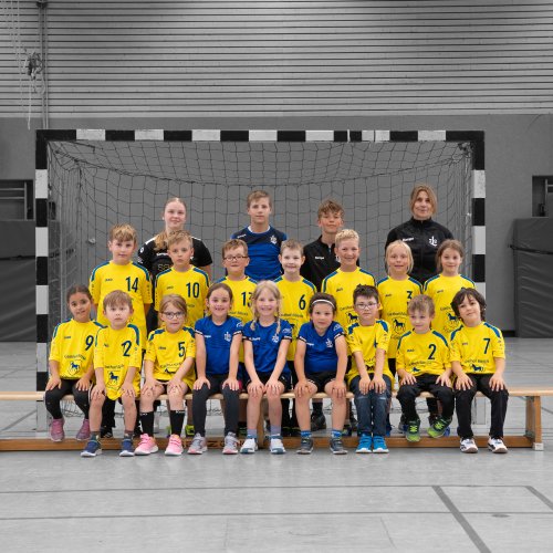 gemischte F Jugend