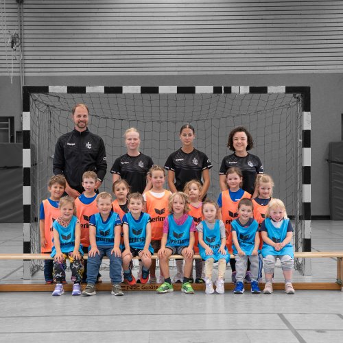 Minis 2025