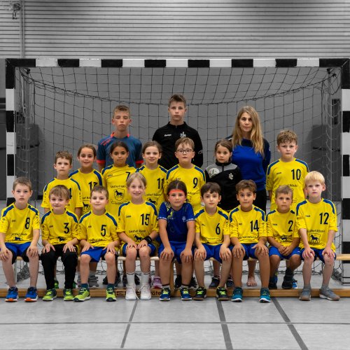 F-Jugend Saison 2026/2027